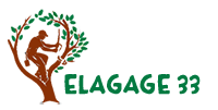 elagage-elagage-abattage-33